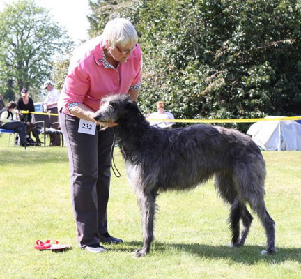 STAINLONIAN KULUNG OF PENHERALD